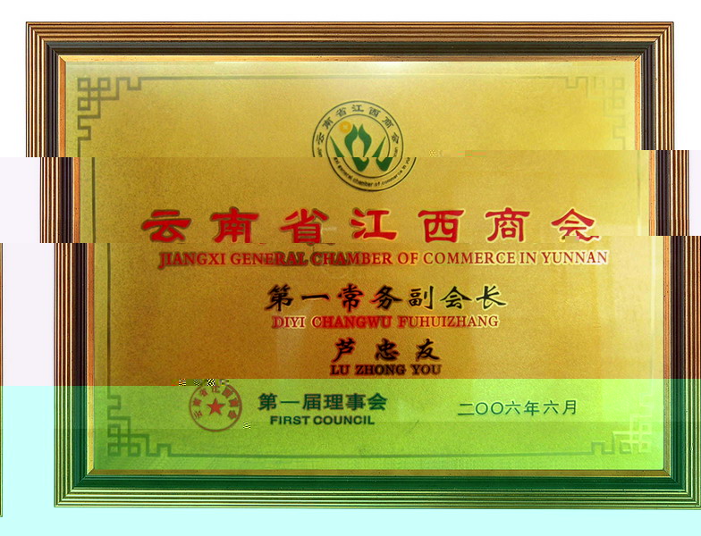 第一常務副會長